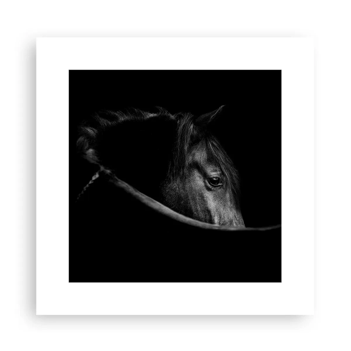 Poster - Prințul negru - 30x30 cm