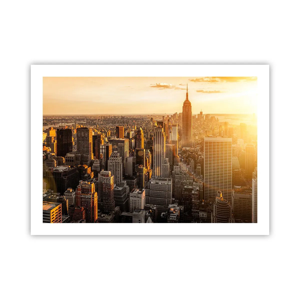 Poster - Crescând la soare - 70x50 cm