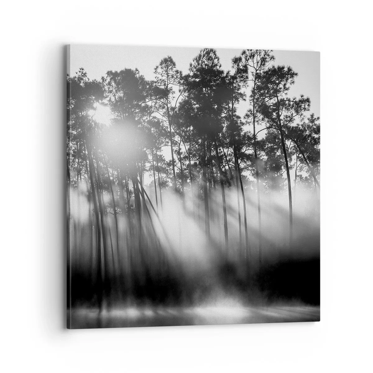 Tablou pe pânză - Soare de neoprit - 70x70 cm