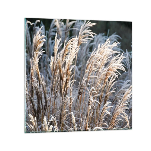 Tablou pe sticlă - Împodobite cu brumă - 30x30 cm