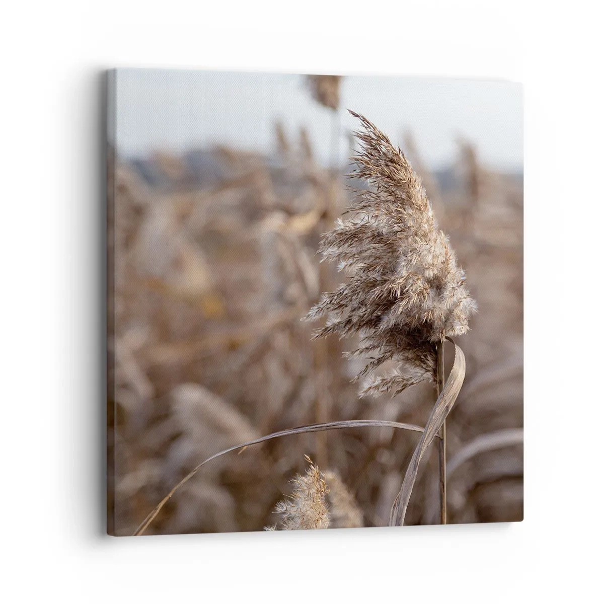 Tablou pe pânză - E timpul să zbori cu vântul - 30x30 cm