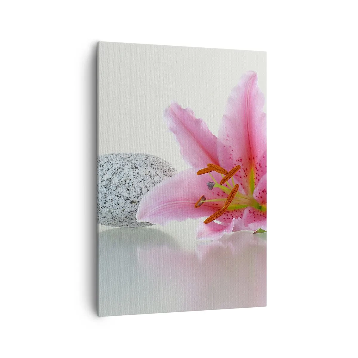 Tablou pe pânză - Studiu în roz, gri și alb - 70x100 cm