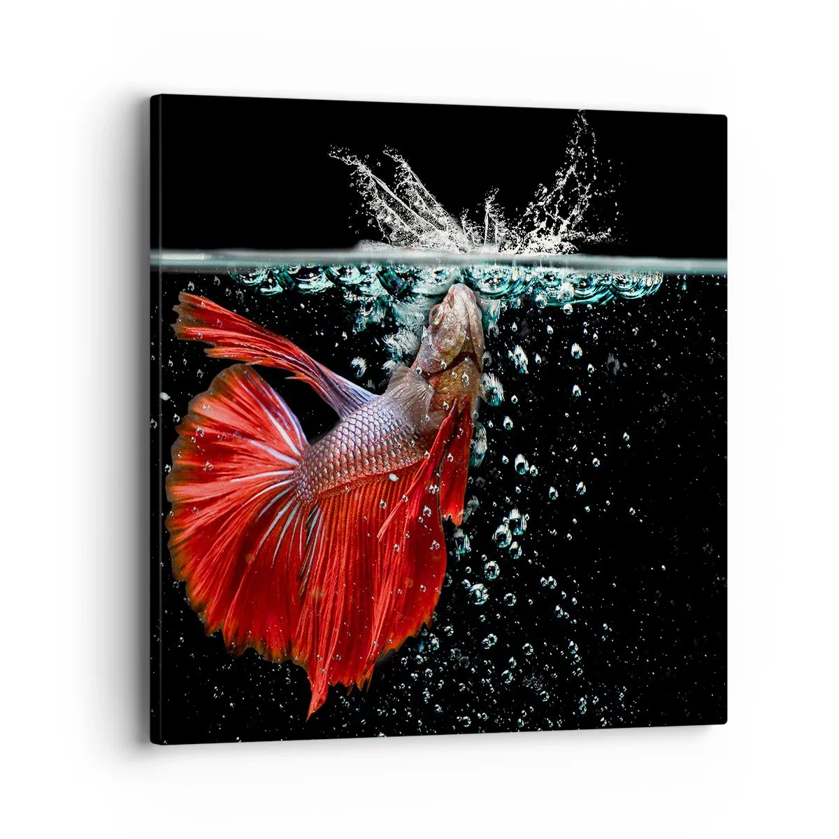 Tablou pe pânză - Aveți trei dorințe - 40x40 cm