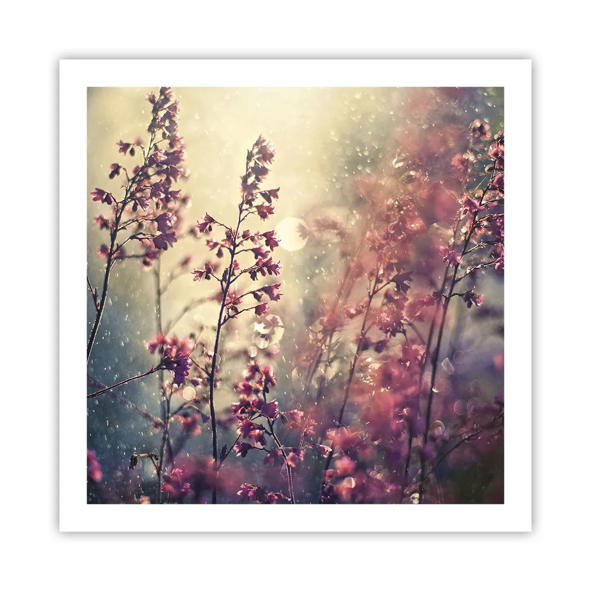 Poster - Grădina secretă - 60x60 cm
