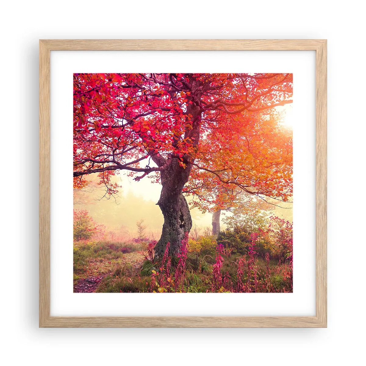 Poster în ramă de stejar deschis - O frenezie de înflorire - 40x40 cm