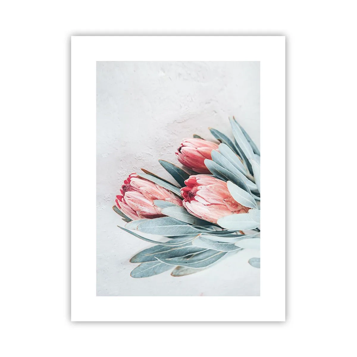 Poster - Rușinate de propria lor frumusețe - 30x40 cm