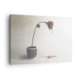 Tablou pe pânză Canvas - Un trandafir roșu într-un ghiveci cu picături de colorant pe un fundal alb - 70x50cm - Rosa dolorosa - Decorațiune modernă pentru perete pentru living și dormitor ARTTOR