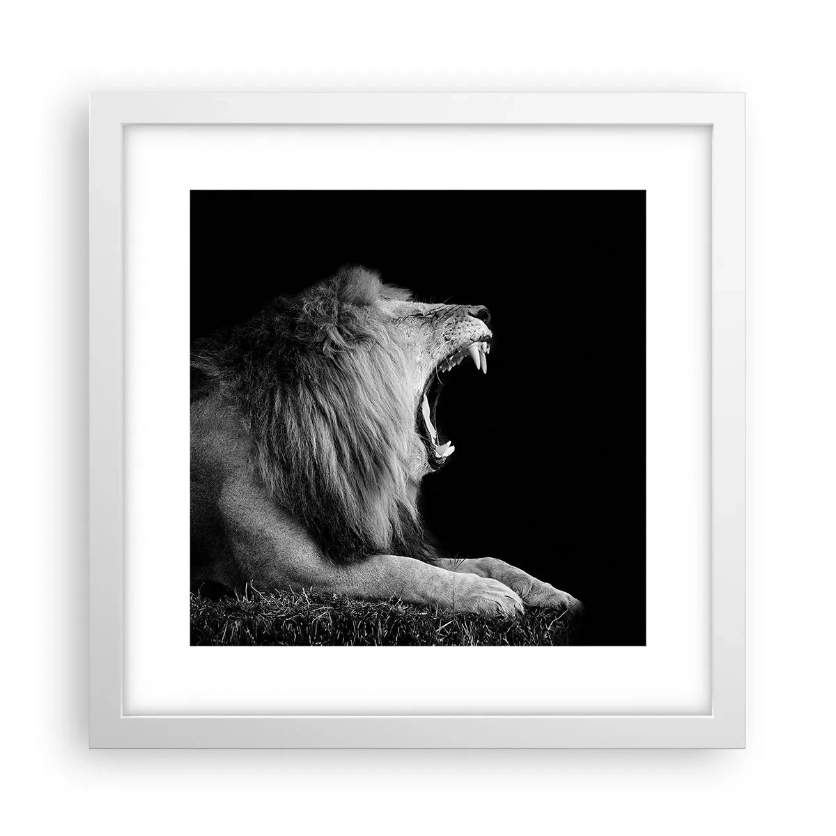 Poster în ramă albă - Fără nici o ezitare - 30x30 cm