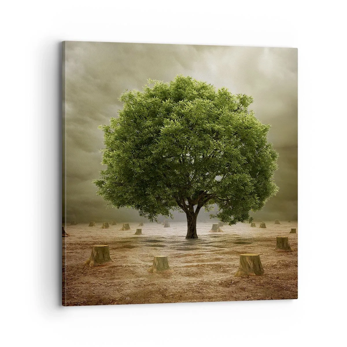 Tablou pe pânză - Toate speranțele - 70x70 cm