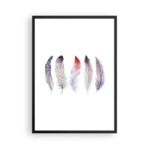 Poster în ramă neagră - Pene colorate pe fundal alb, într-un stil delicat - 50x70cm - Delicate ca o ceață multicoloră - Decorațiune modernă pentru perete pentru living și dormitor ARTTOR