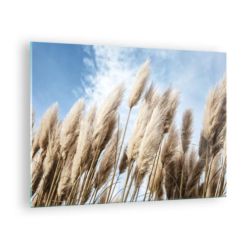 Tablou pe sticlă - Ierburi decorative de pampas pe un cer albastru - 70x50cm - Mângâiere însorită și vântoasă - Decorațiune modernă pentru perete pentru living și dormitor ARTTOR