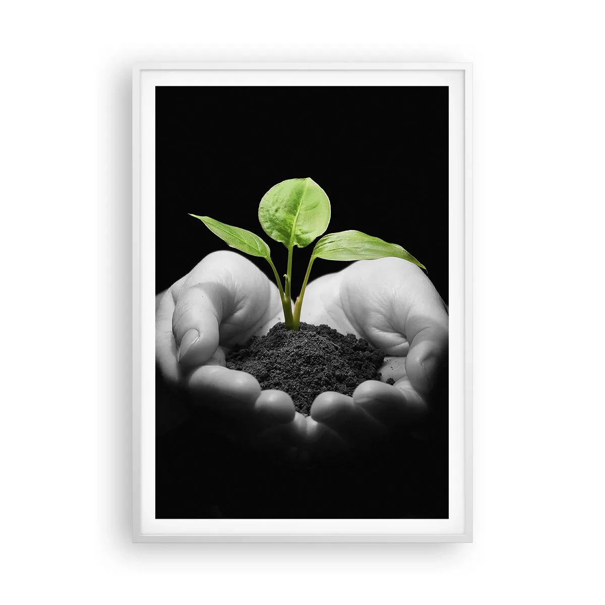 Poster în ramă albă - Iubesc natura, o protejez - 70x100 cm
