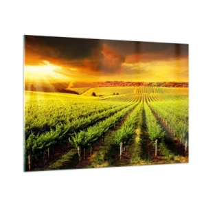 Tablou pe sticlă - Sub soarele australian - 100x70 cm