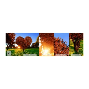 Mostră tapet autocolant Deluxe Sticker - Și cum să nu iubești toamna? - Peisaj, Copac, Raze de soare - 100x30 cm