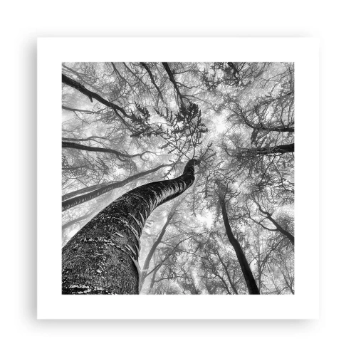 Poster - Cursa spre lumină - 40x40 cm