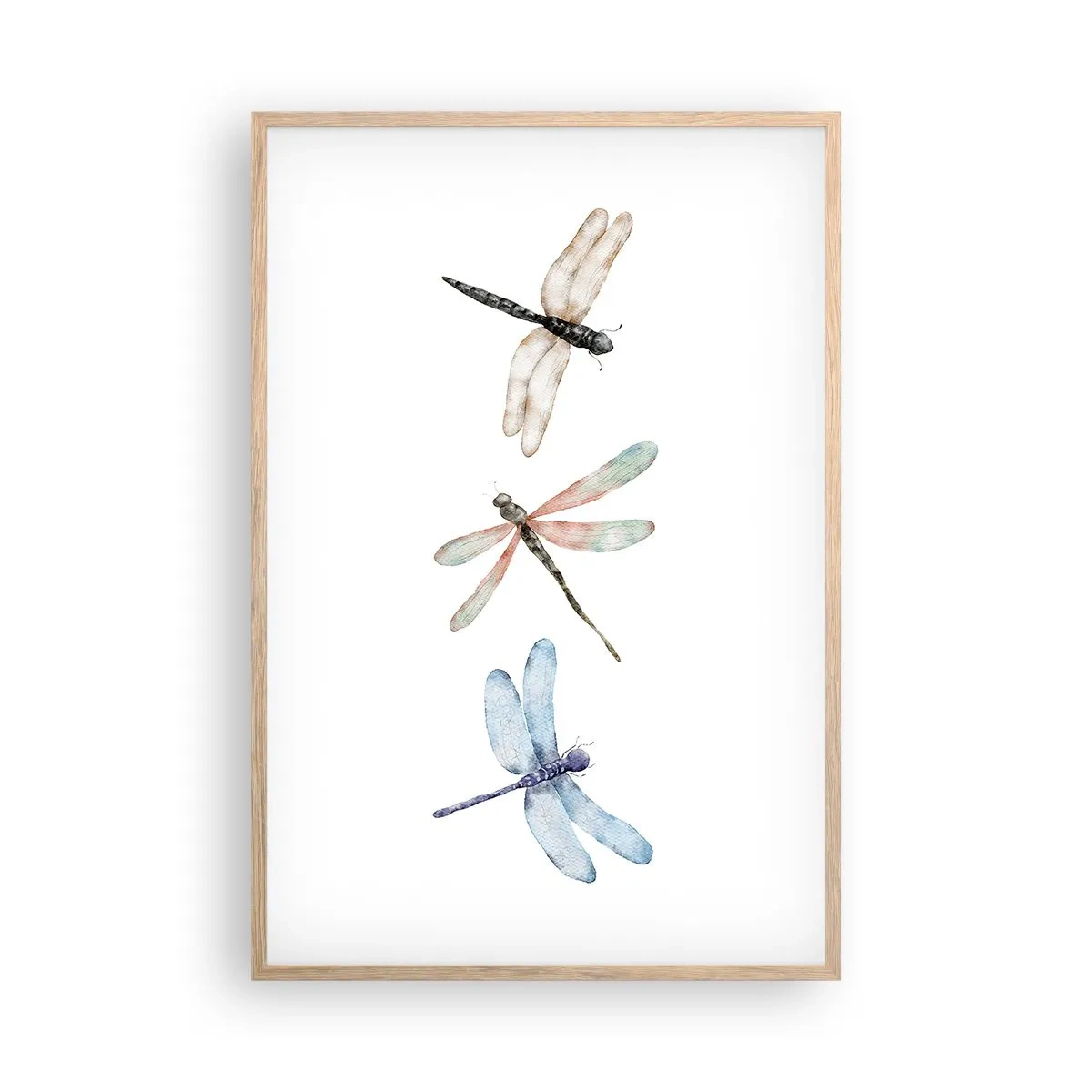Poster în ramă de stejar deschis - Libelule imponderabile - 61x91 cm