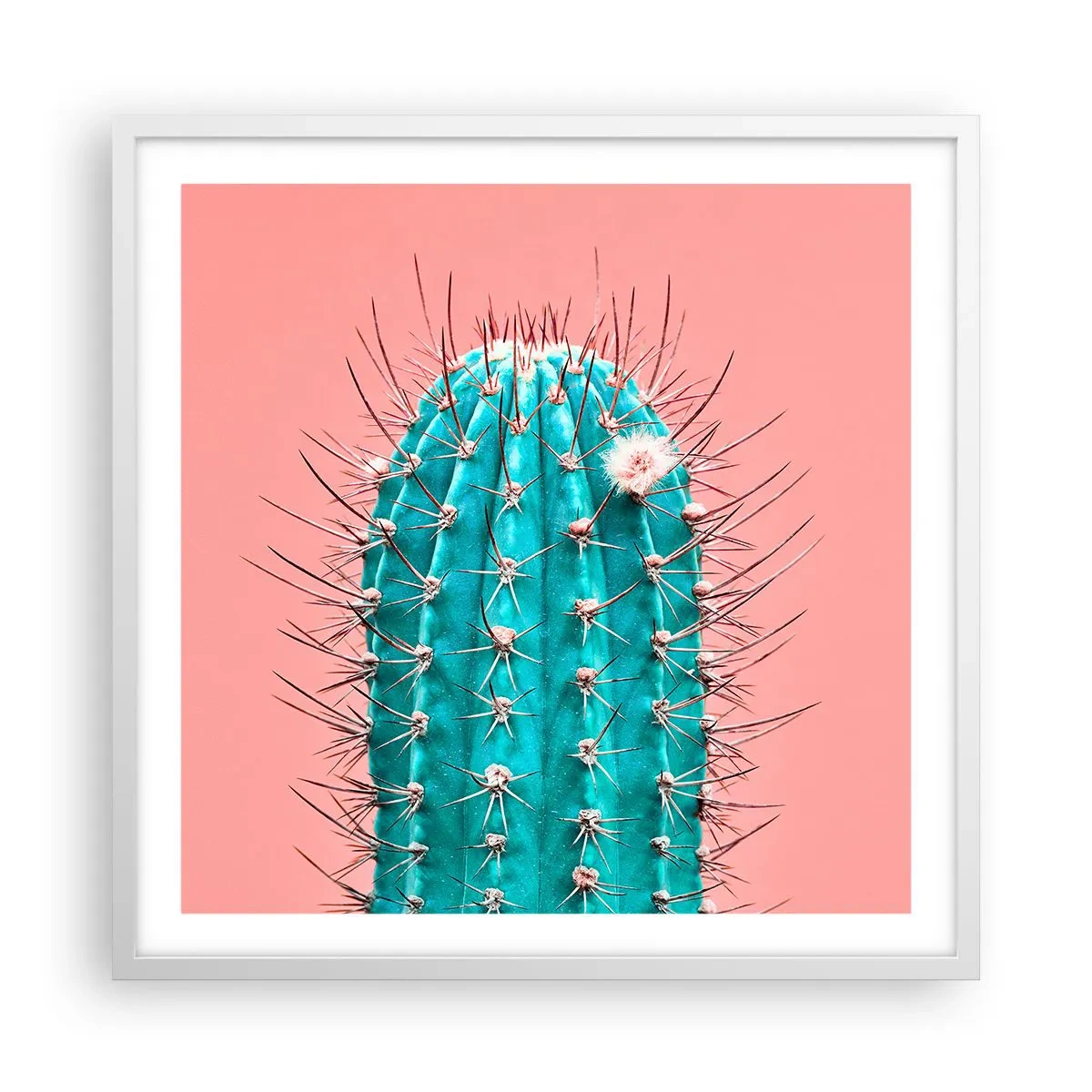 Poster în ramă albă - Doar privește - 60x60 cm