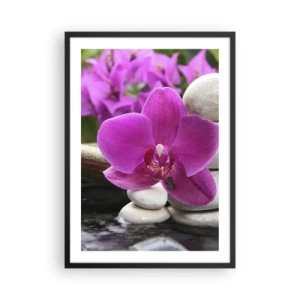 Poster în ramă neagră - O orhidee violetă pe un fundal de pietre într-un aranjament armonios - 50x70cm - Te odihnești deja - Decorațiune modernă pentru perete pentru living și dormitor ARTTOR