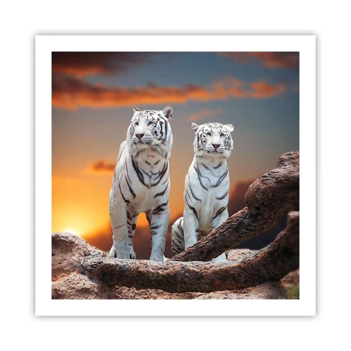 Poster - La fel ca în Narnia - 60x60 cm