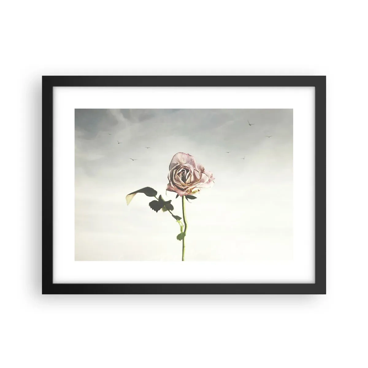 Poster în ramă neagră - Primăvara binevenită - 40x30 cm