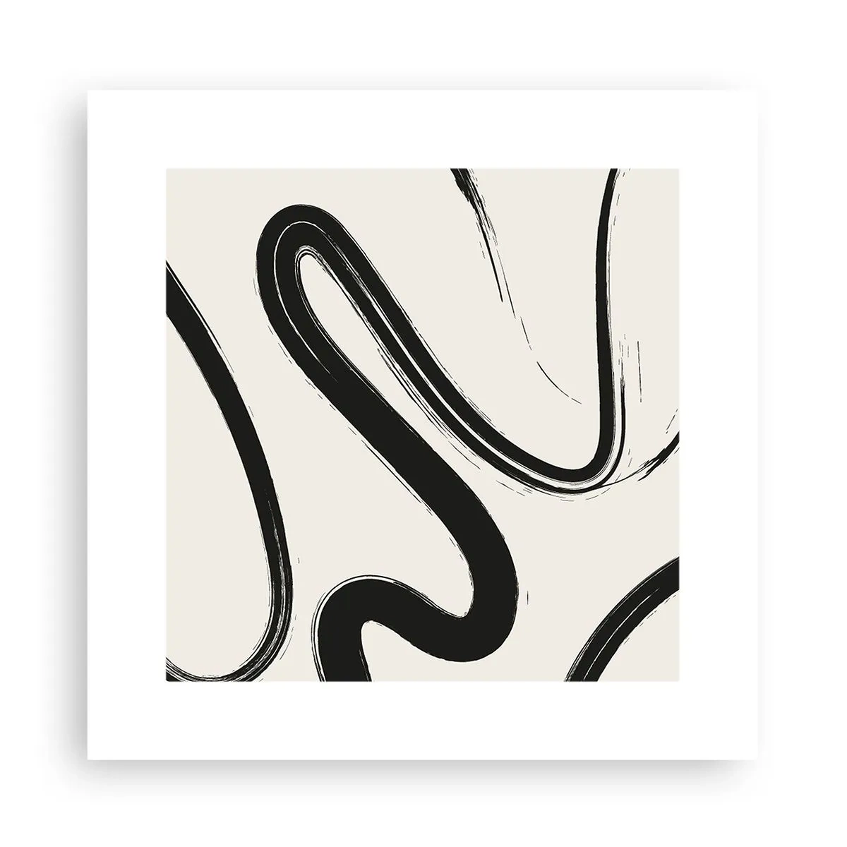 Poster - Capriciu în alb și negru - 30x30 cm