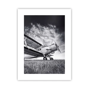 Poster - Rătăcitorul înaripat - 30x40 cm