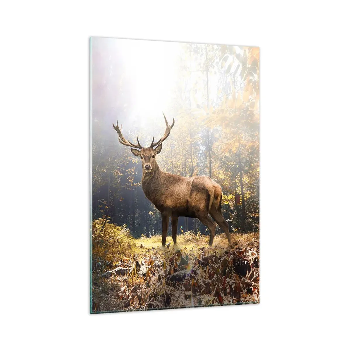 Tablou pe sticlă - Măreție calmă - 80x120 cm