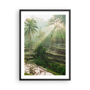 Poster în ramă neagră - Peisaj tropical cu terase de orez și soare - 50x70cm - Crescând la soare - Decorațiune modernă pentru perete pentru living și dormitor ARTTOR
