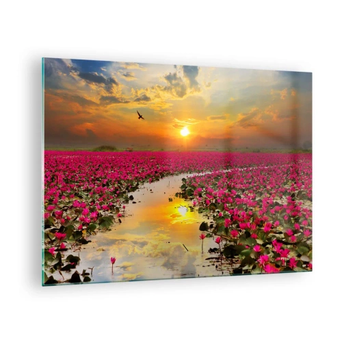 Tablou pe sticlă - Nuferi roz pe un lac la apus - 70x50cm - Viața secretă a lacului - Decorațiune modernă pentru perete pentru living și dormitor ARTTOR