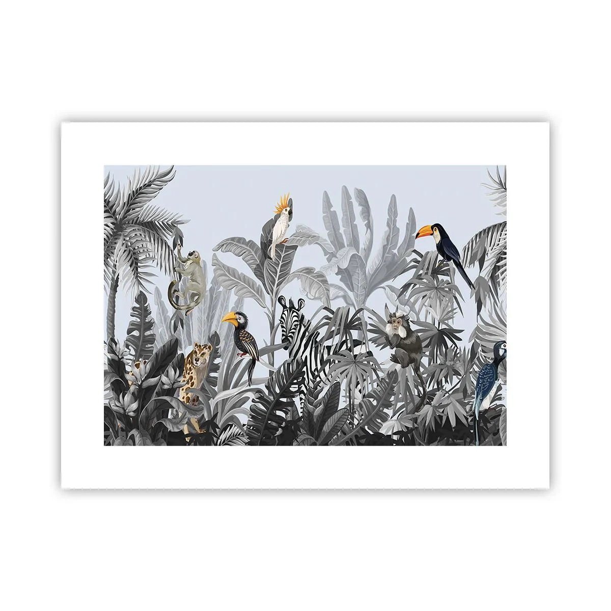 Poster - O fabulă africană - 40x30 cm
