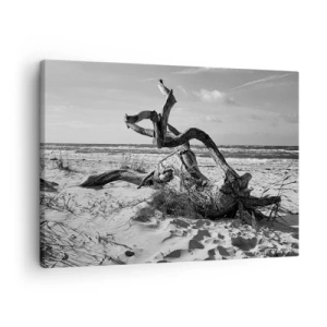 Tablou pe pânză Canvas - Peisaj alb-negru cu un copac mort pe plajă - 70x50cm - Sculptură marină - Decorațiune modernă pentru perete pentru living și dormitor ARTTOR