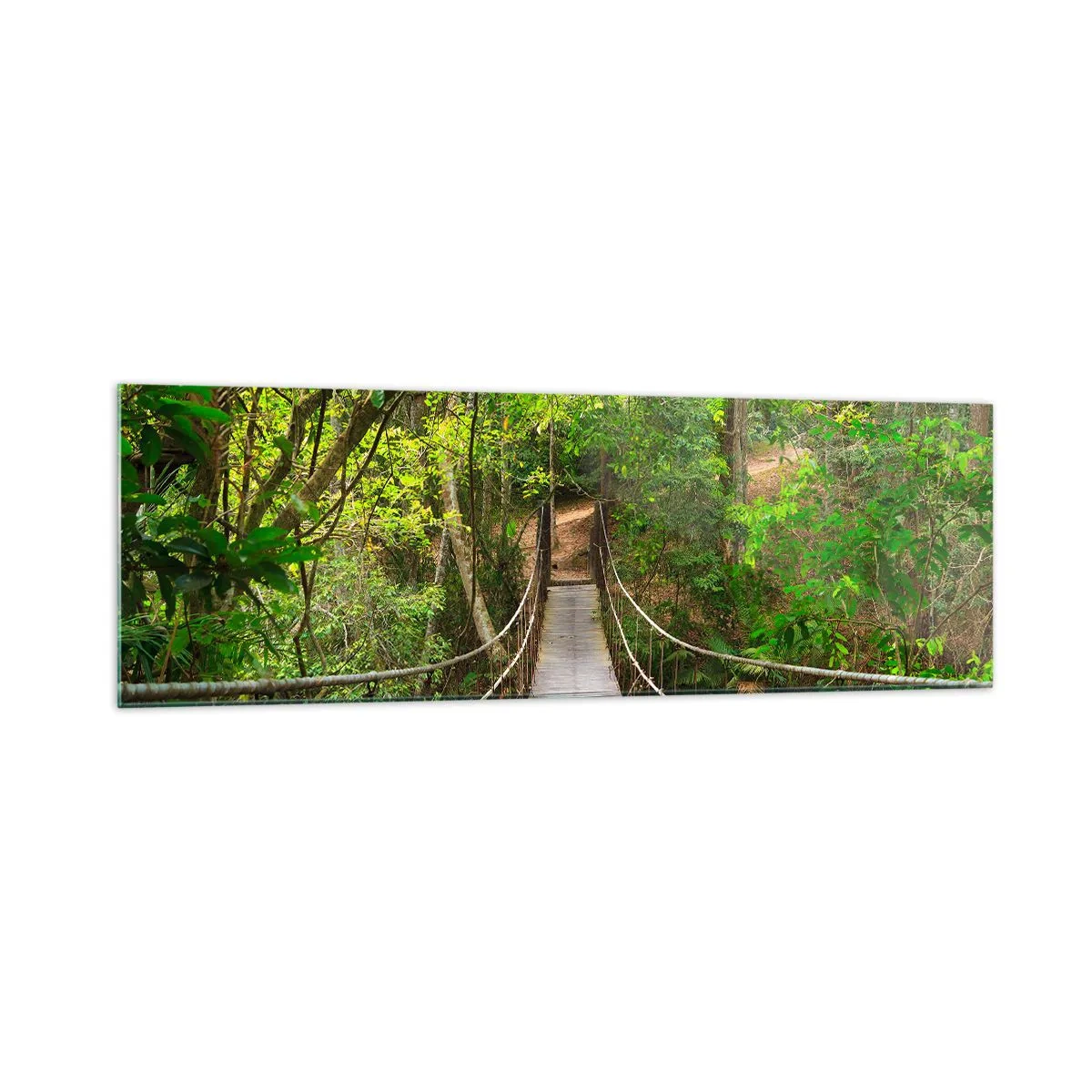 Tablou pe sticlă - Pentru că în grădină crește o liană - 160x50 cm
