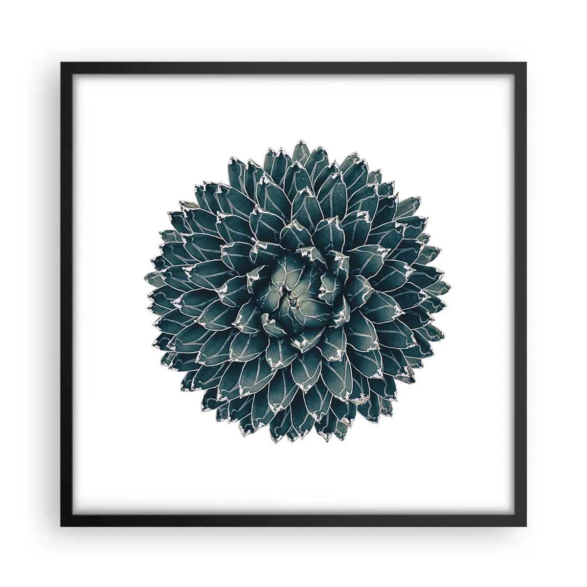 Poster în ramă neagră - Steaua deșertului - 50x50 cm