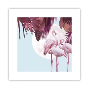 Poster - Harul a trei păsări - 30x30 cm