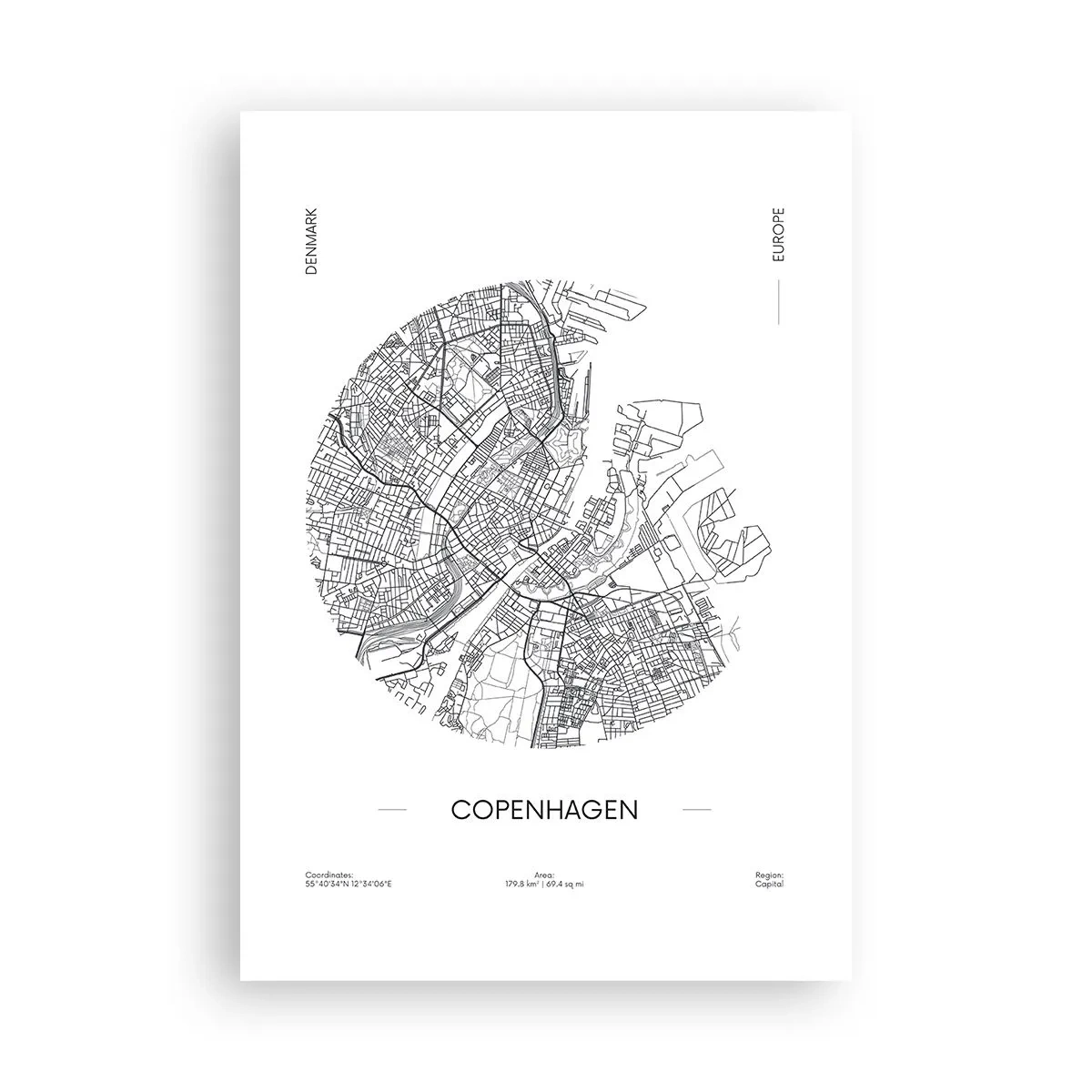 Poster - Anatomia Copenhagăi - 70x100 cm