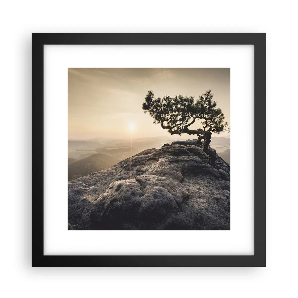 Poster în ramă neagră - Viața învinge întotdeauna - 30x30 cm