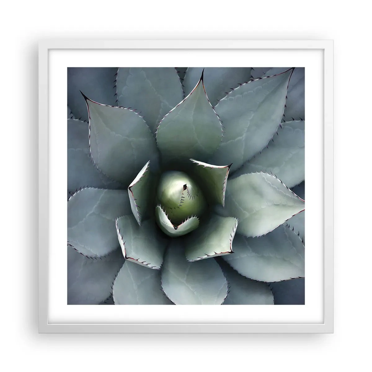 Poster în ramă albă - Momește și avertizează - 50x50 cm