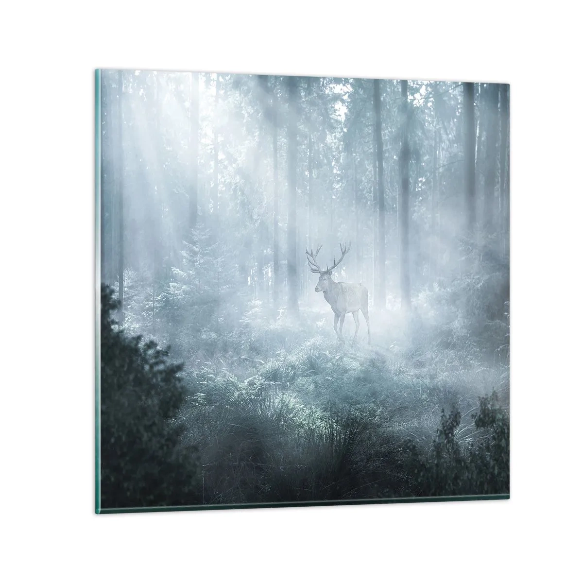 Tablou pe sticlă - Plimbarea de dimineață prin regat - 40x40 cm