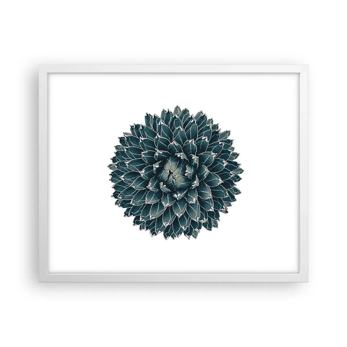 Poster în ramă albă - Steaua deșertului - 50x40 cm