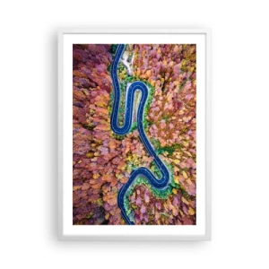 Poster în ramă albă - Un drum șerpuit prin pădure - 50x70 cm
