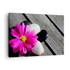 Tablou pe pânză Canvas - Floare roz pe un fundal de plăci de lemn cu pietre - 70x50cm - Odihnă pe dig - Decorațiune modernă pentru perete pentru living și dormitor ARTTOR