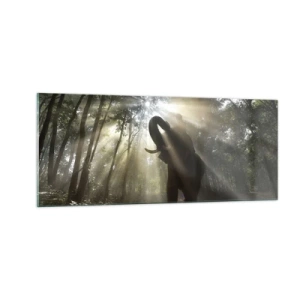 Tablou pe sticlă - Sub o stea norocoasă - 100x40 cm