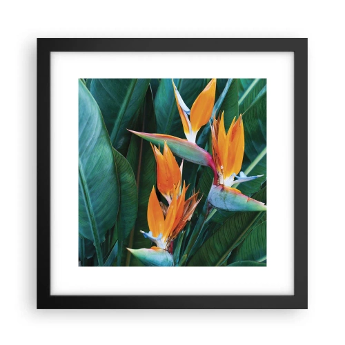 Poster în ramă neagră - Este o floare sau o pasăre? - 30x30 cm