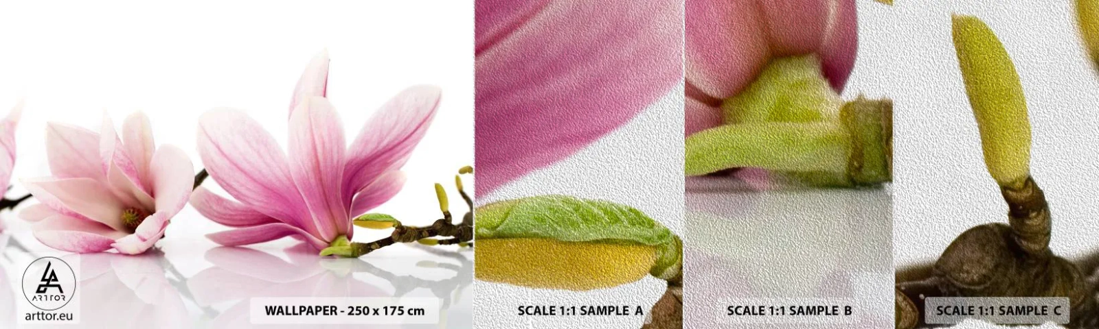 Mostră tapet Premium Sand - Delicate ca o adiere de primăvară - Floare, Magnolie, Natură - 100x30 cm