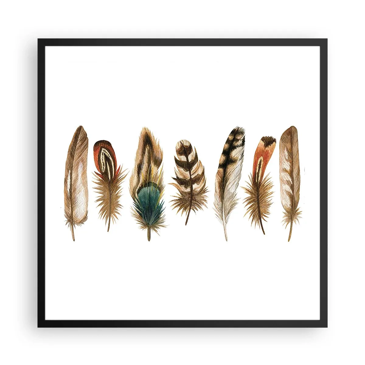 Poster în ramă neagră - Variație cu pene - 60x60 cm