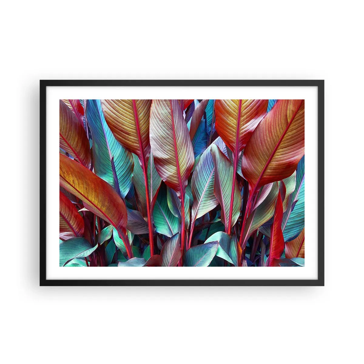Poster în ramă neagră - Tufiș colorat - 70x50 cm