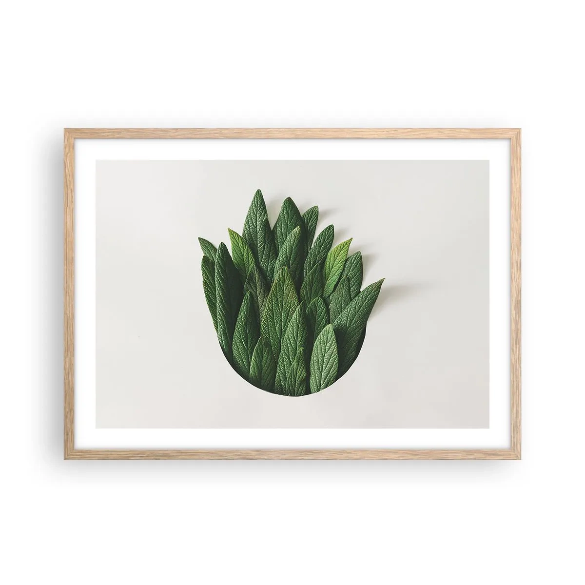 Poster în ramă de stejar deschis - Curiozitatea nestăvilită - 70x50 cm