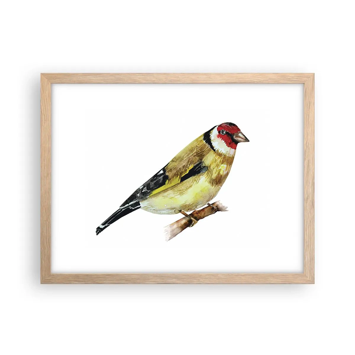 Poster în ramă de stejar deschis - Portret de pasăre - 40x30 cm