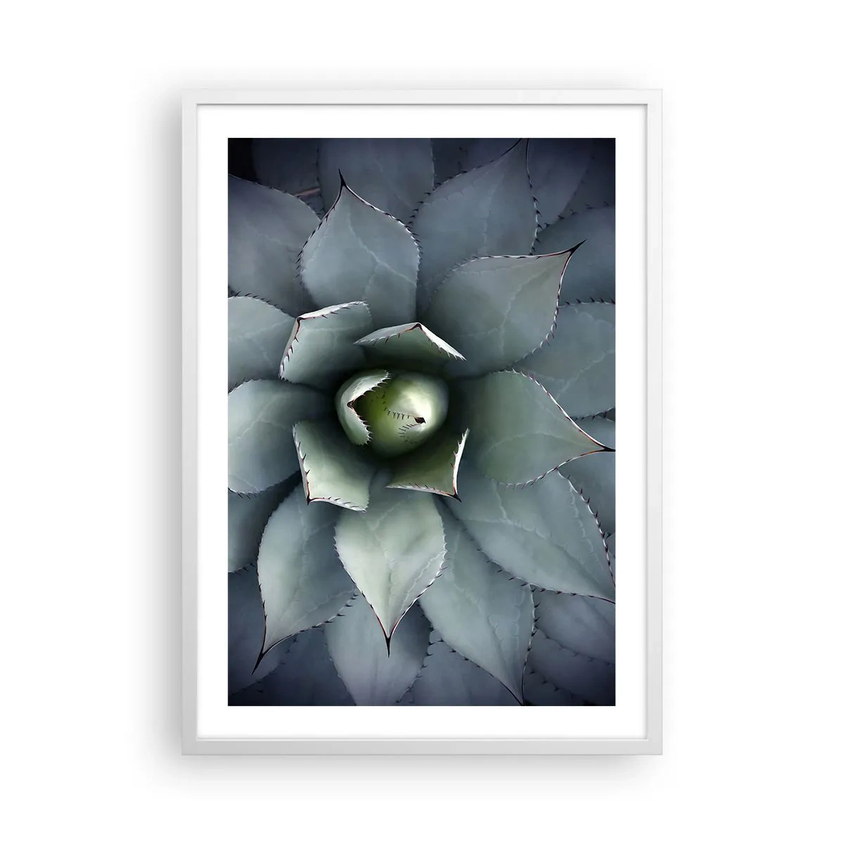 Poster în ramă albă - Momește și avertizează - 50x70 cm