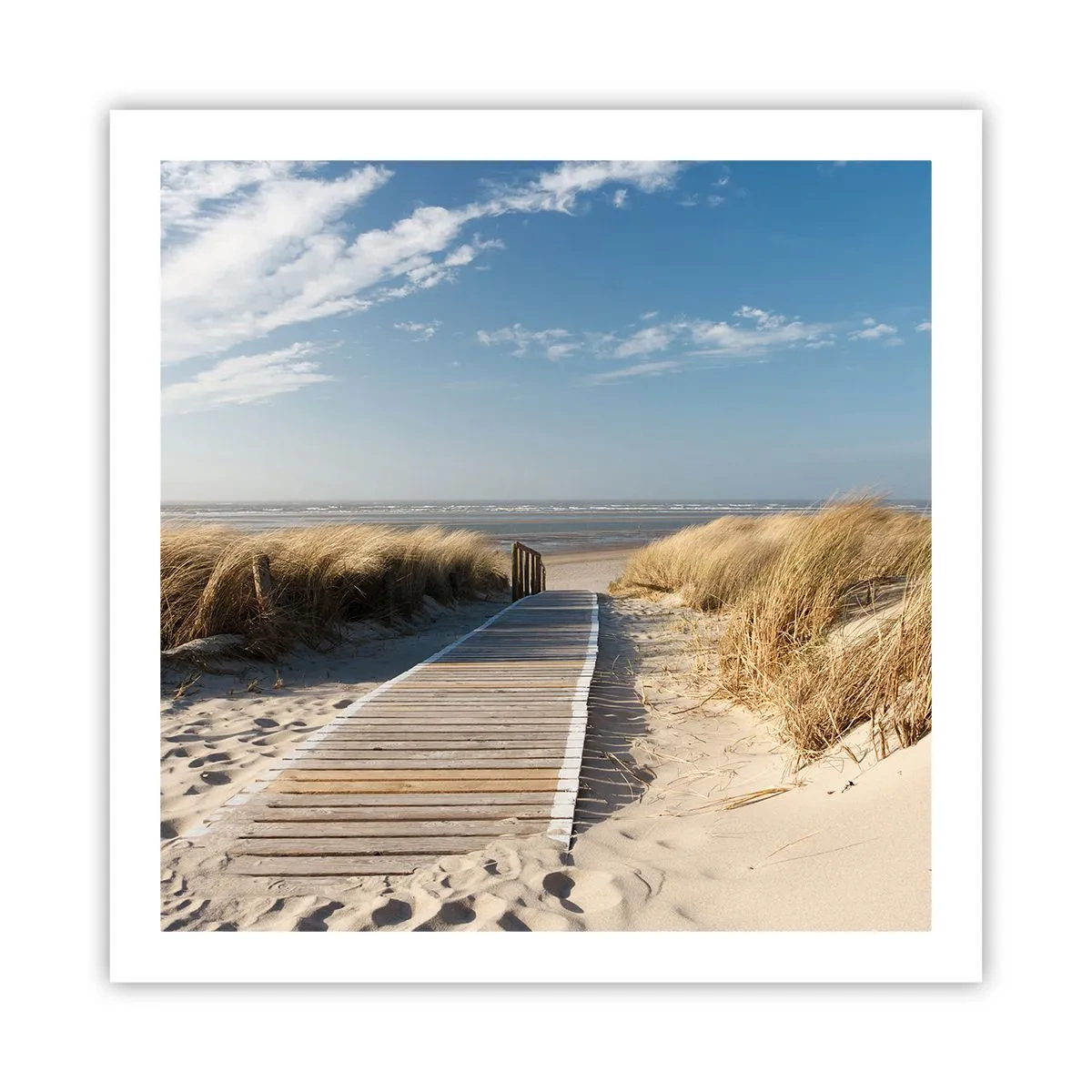 Poster - În spatele dunei, în zumzetul ierbii - 60x60 cm